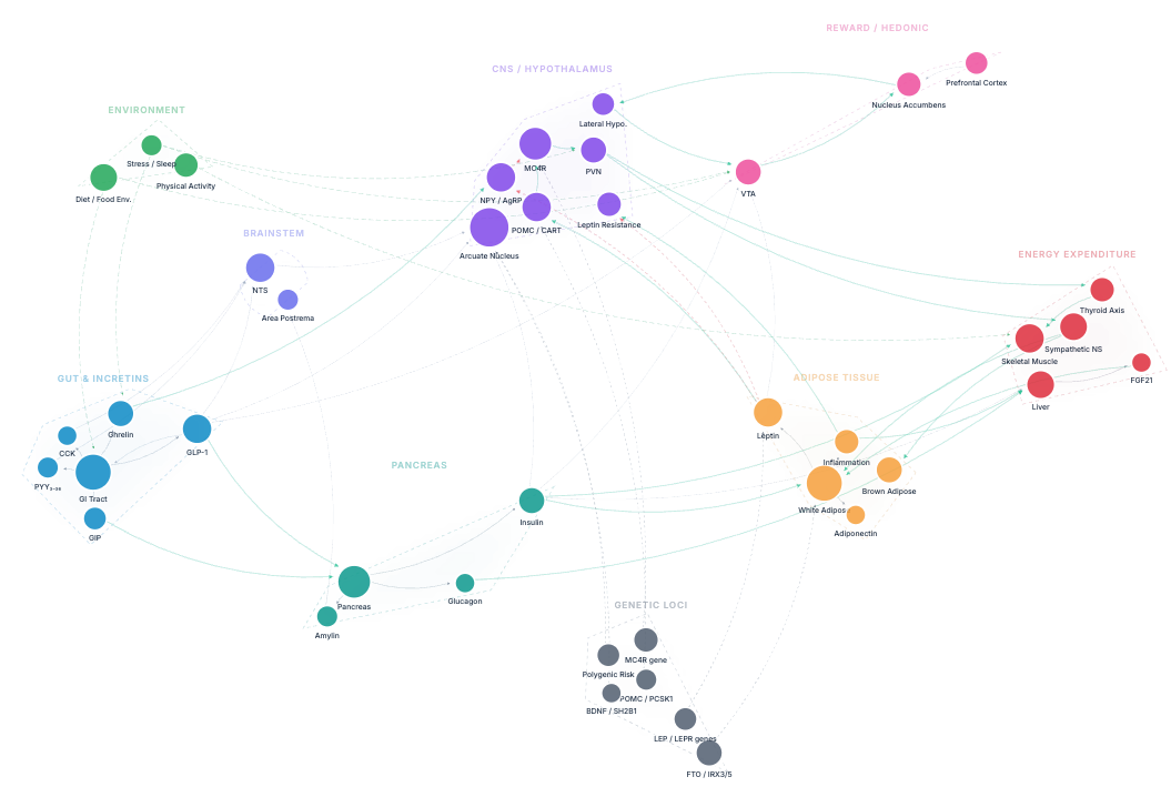 Competitive Intelligence