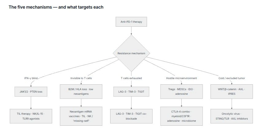 Mechanism map from Gosset’s public report on anti-PD-1 resistance in melanoma.
